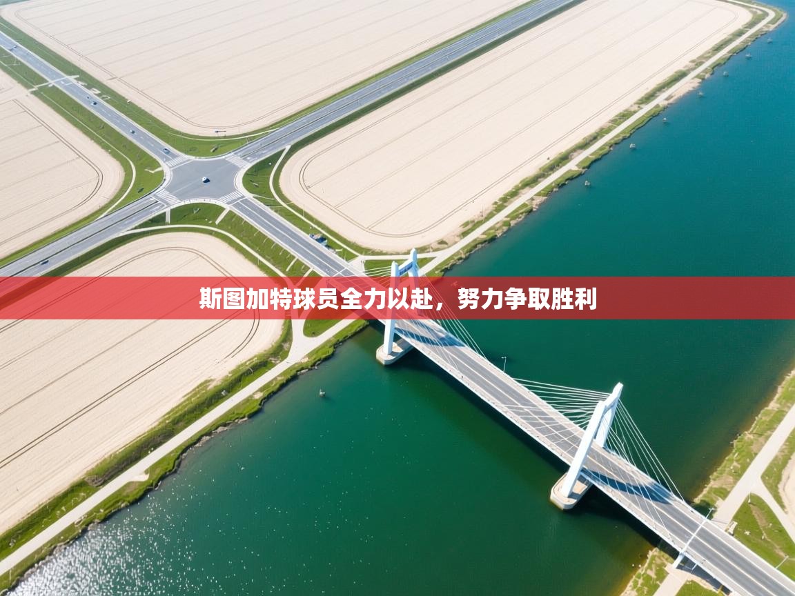 斯图加特球员全力以赴，努力争取胜利  第1张