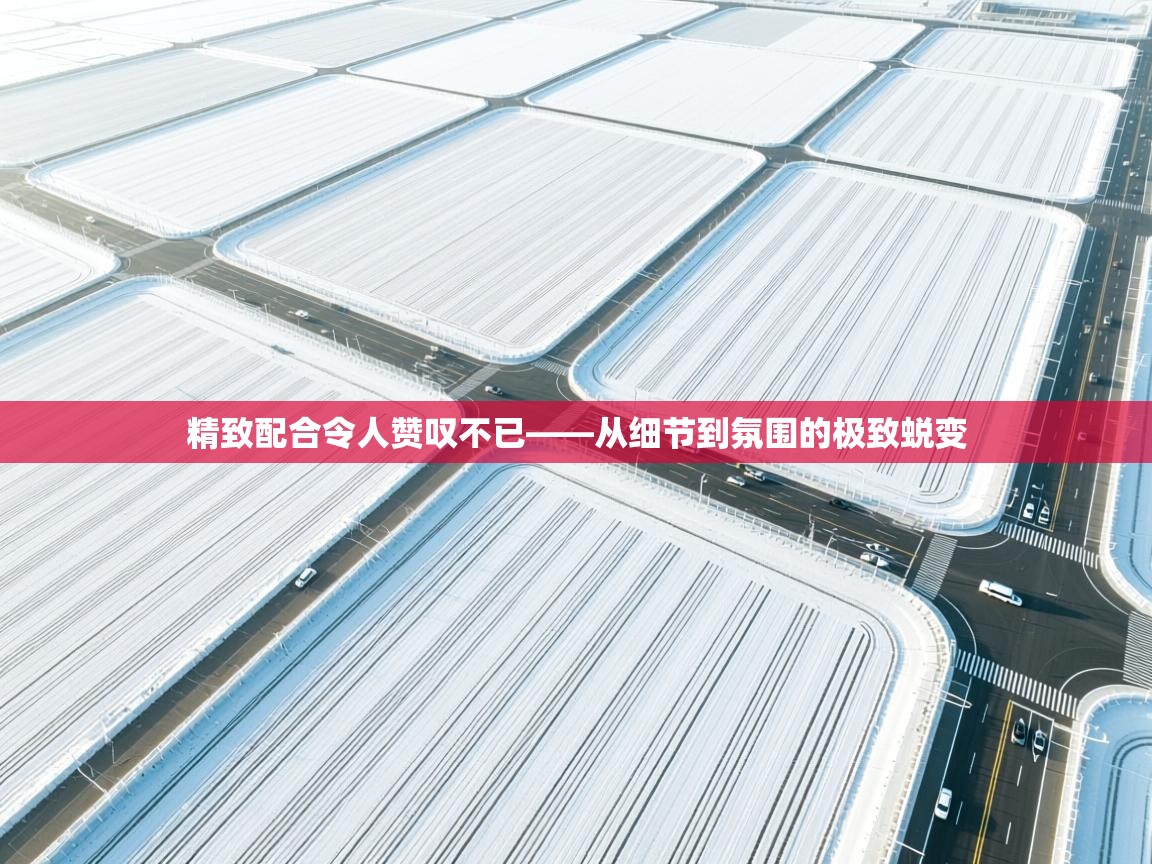 精致配合令人赞叹不已——从细节到氛围的极致蜕变  第2张