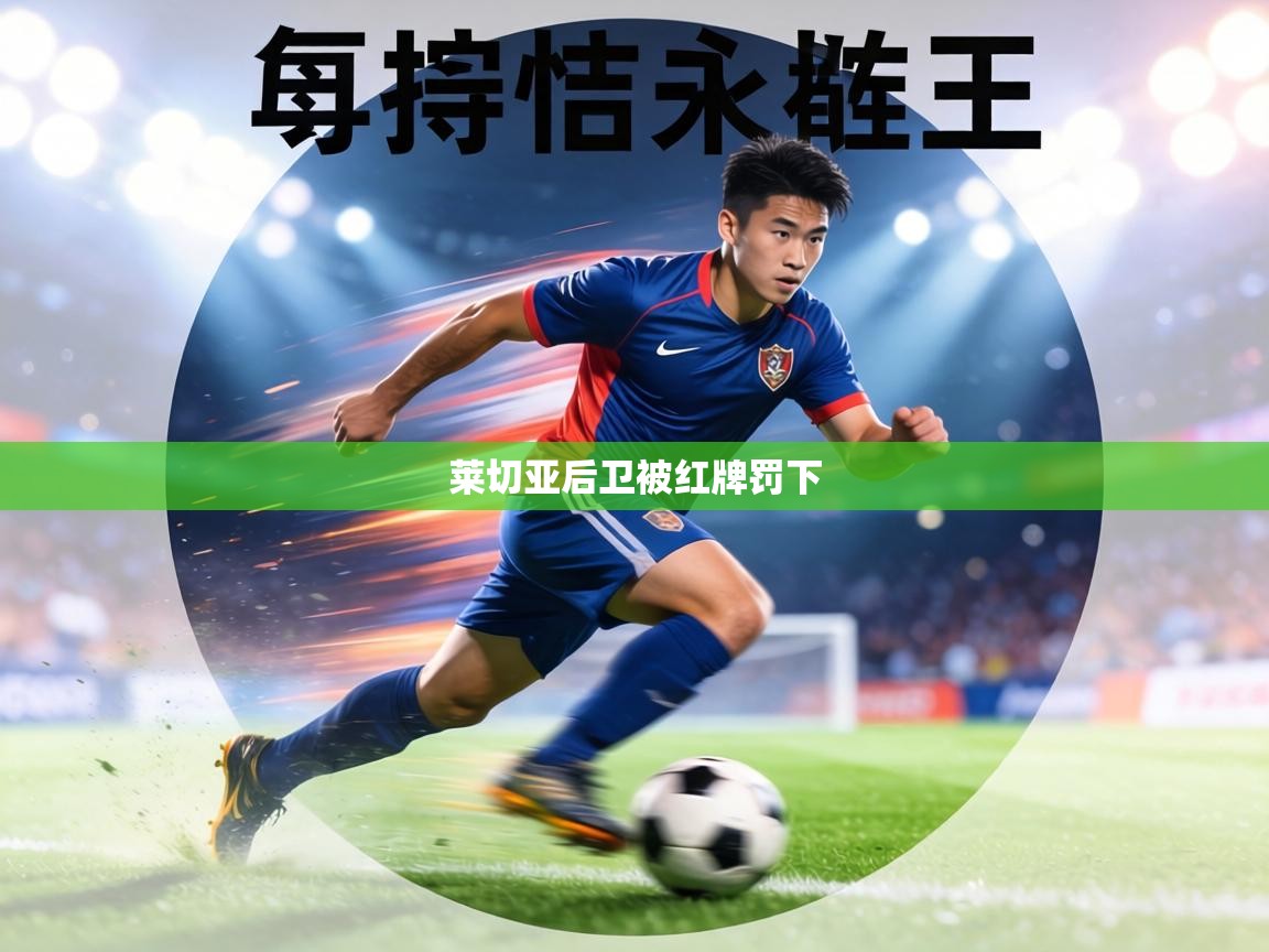 莱切亚后卫被红牌罚下  第1张